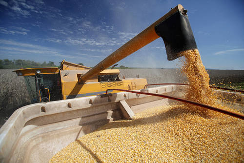 Verschleißoptimierte Murdotec Kunststoffe eignen sich hervorragend für abrasive Einsätze bei Auskleidungen in der Agrartechnik